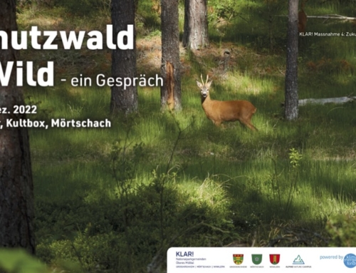 Nachlese: „Schutzwald & Wild – ein Gespräch“