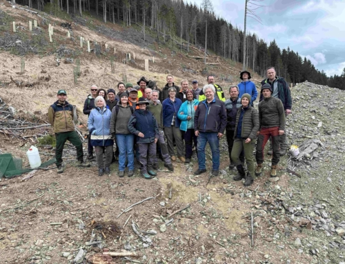 Rückblick „MISCHWALD AUFBRINGEN – ein praktischer Kurs“ am 10. April 2026 im Stadlerwald / Mörtschach